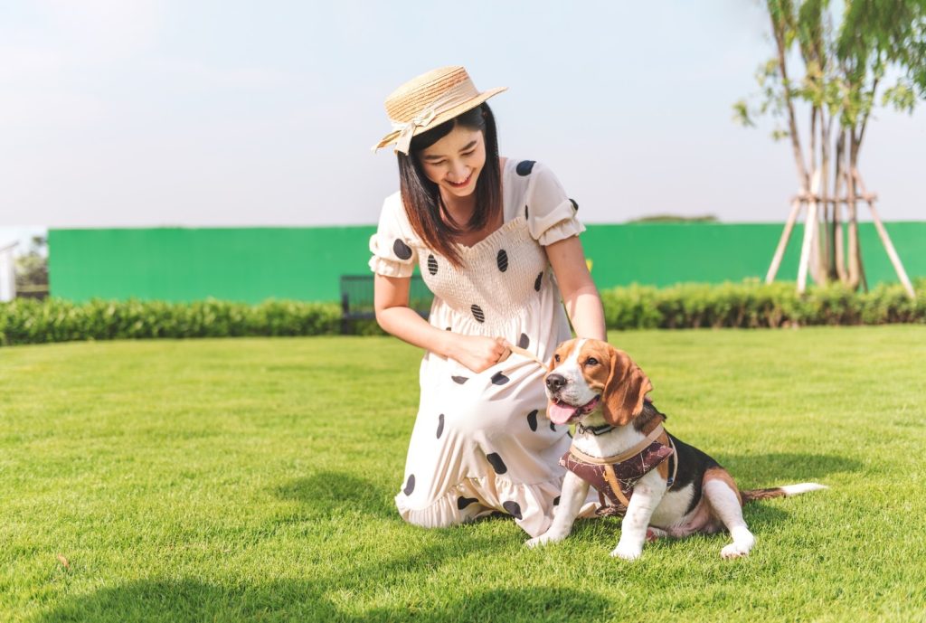 Seorang wanita Asia bermain dengan anjing peliharaan di taman.