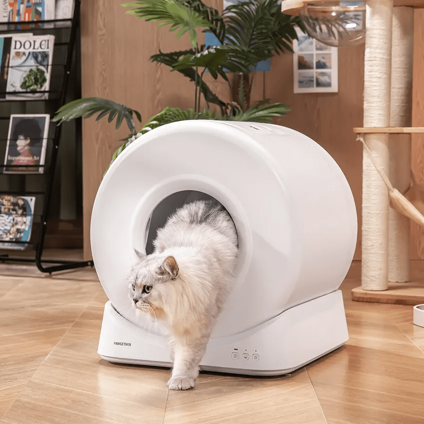 Cat litter box yang bisa membersihkan kotoran secara otomatis dari Krisbow Sync